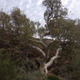 Illustration for article titled Arkaroola, An Ancient Wilderness